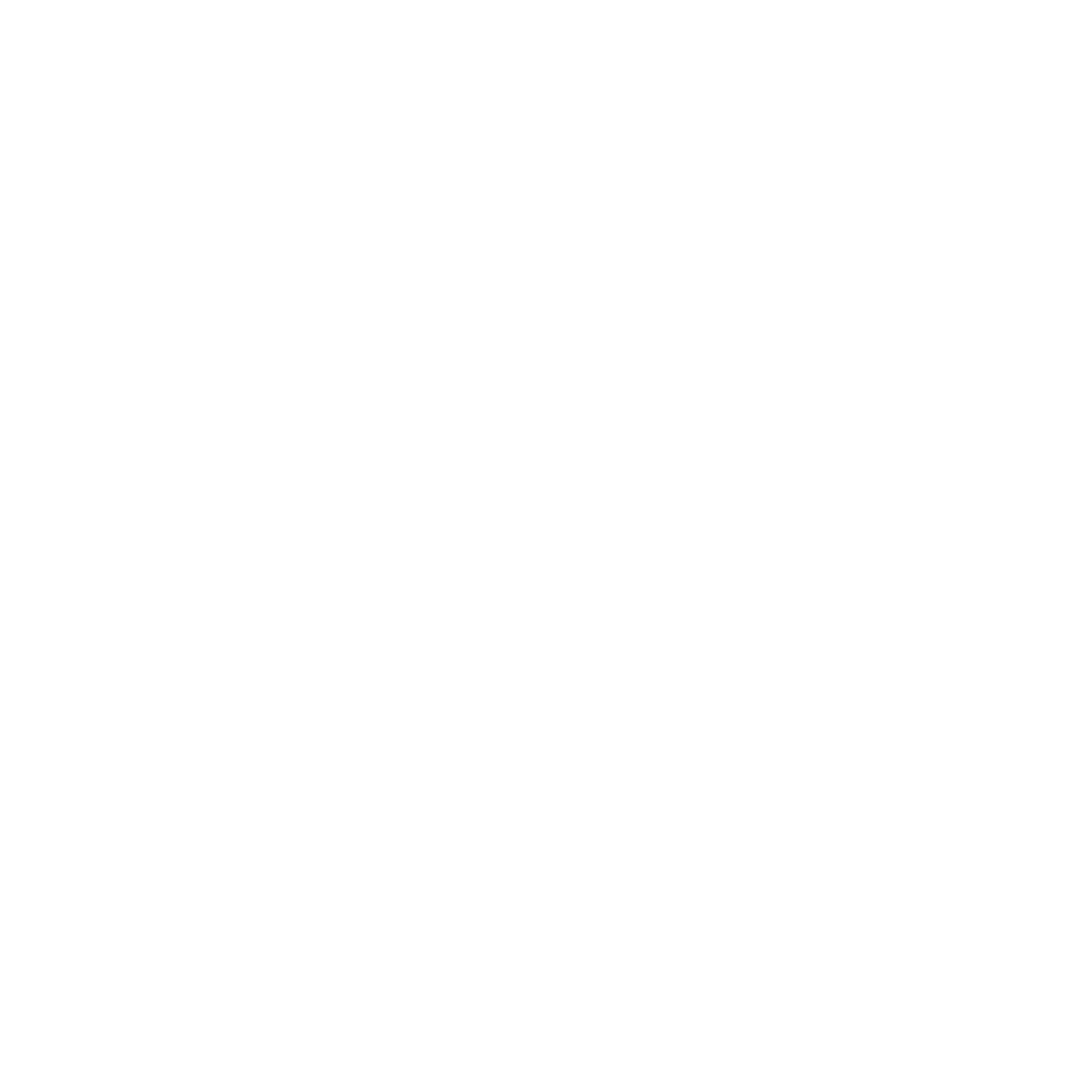Nicholas Durante Logo